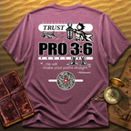 072 Guidance - PRO 3:6